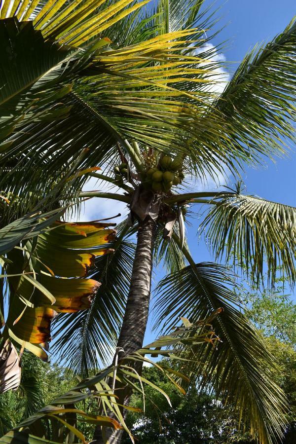 Kazatipunch Saint-Francois (Grande-Terre) Exterior foto