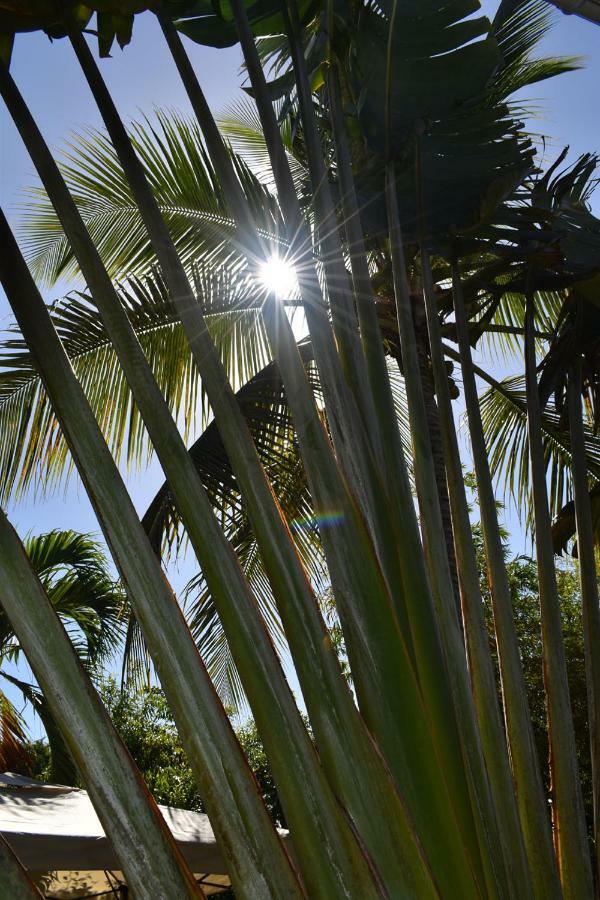 Kazatipunch Saint-Francois (Grande-Terre) Exterior foto