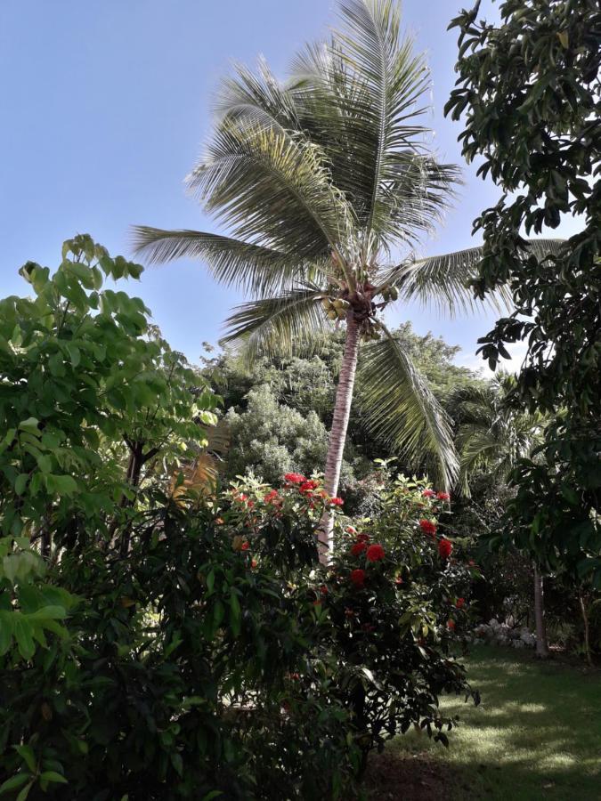 Kazatipunch Saint-Francois (Grande-Terre) Exterior foto